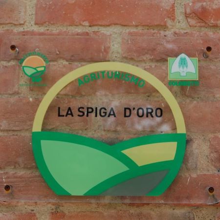 La Spiga D'Oro Guest House Pozzo  ภายนอก รูปภาพ
